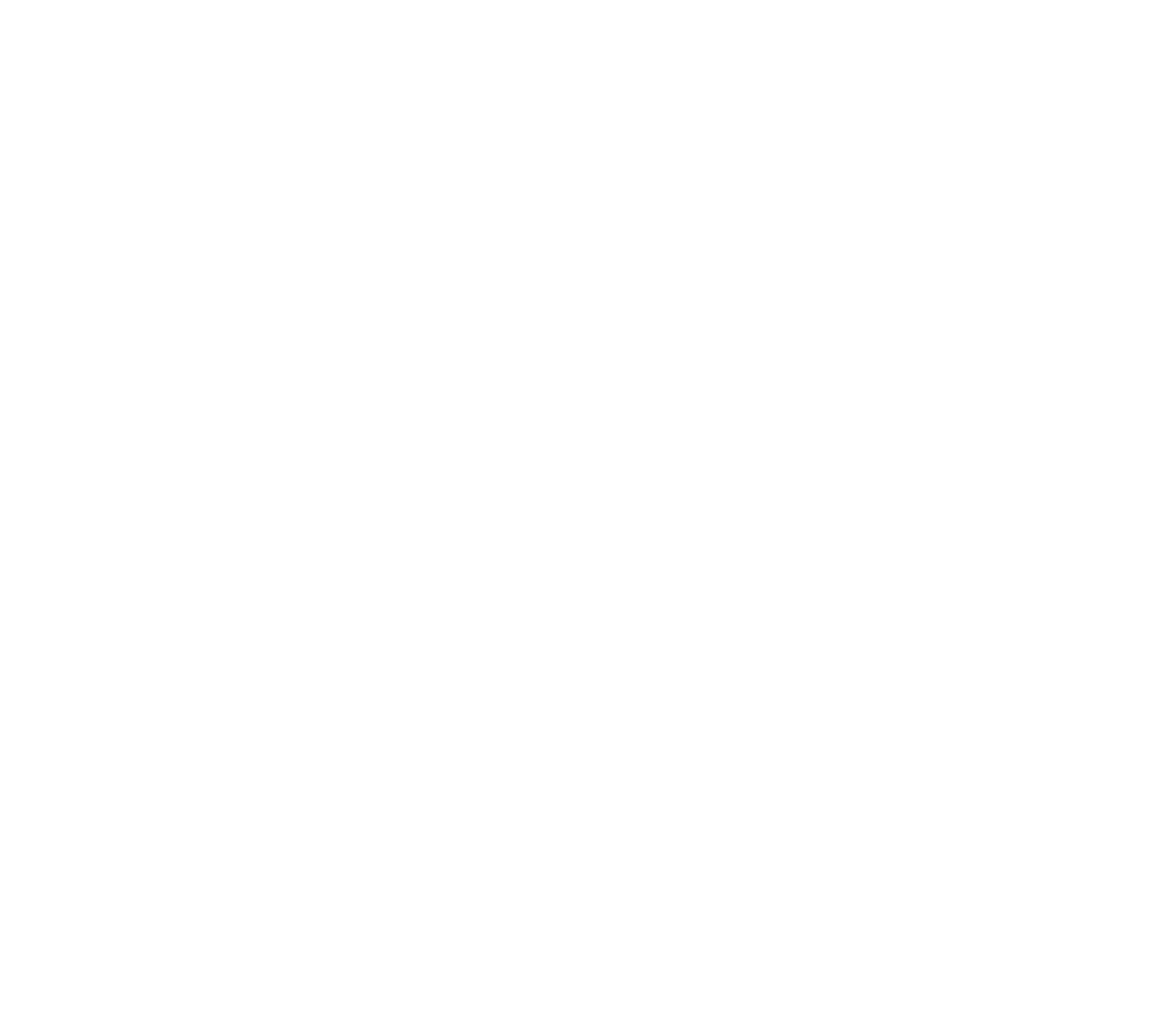 Punjabi Folk Squad